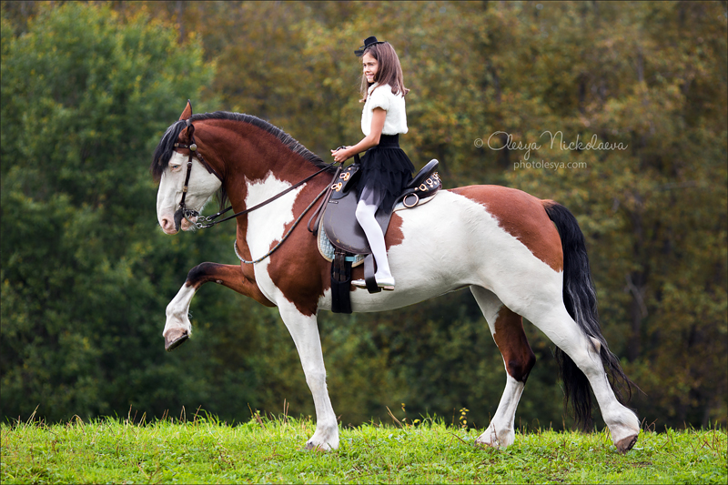  лошади и люди  ◆ horse and human