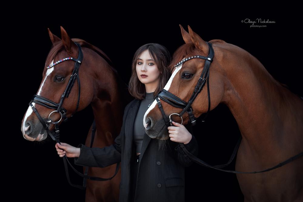  лошади и люди  ◆ horse and human