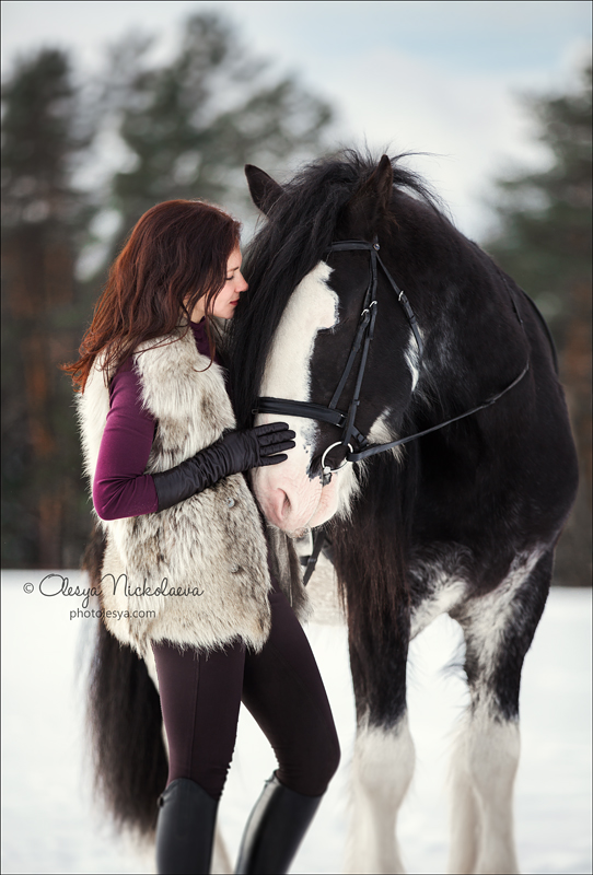  лошади и люди  ◆ horse and human