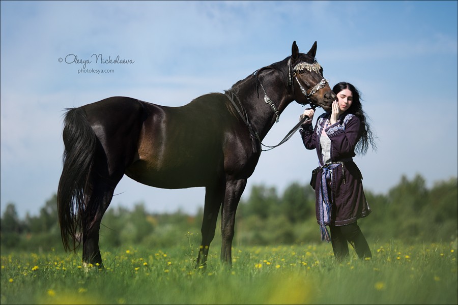  лошади и люди  ◆ horse and human