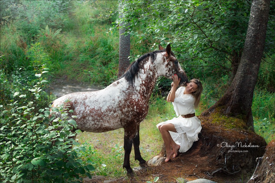  лошади и люди  ◆ horse and human