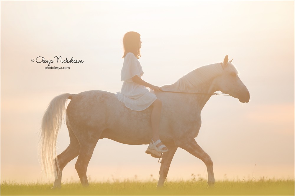  лошади и люди  ◆ horse and human