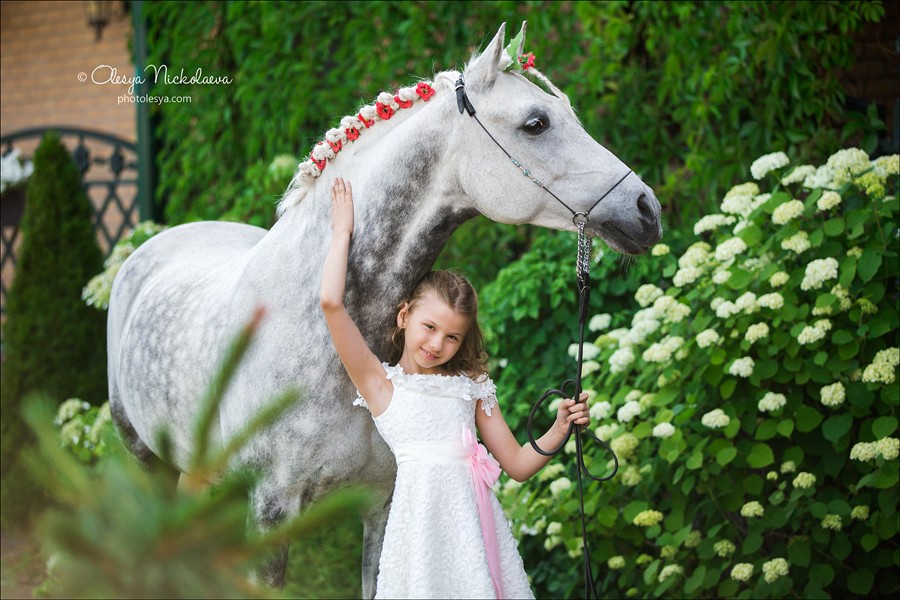  лошади и люди  ◆ horse and human