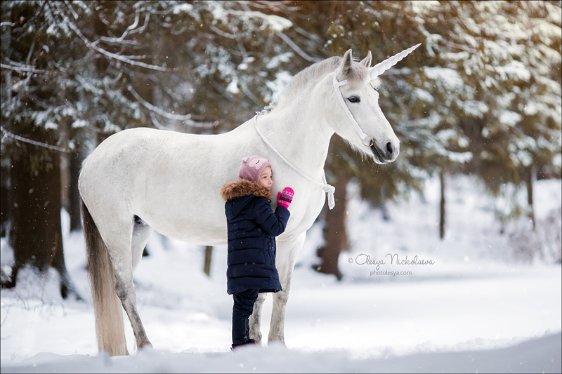  лошади и люди  ◆ horse and human