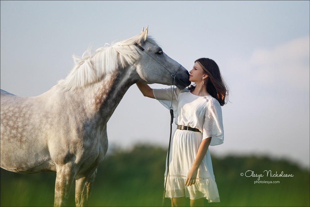  лошади и люди  ◆ horse and human