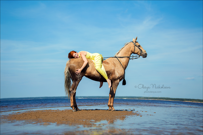 лошади и люди  ◆ horse and human