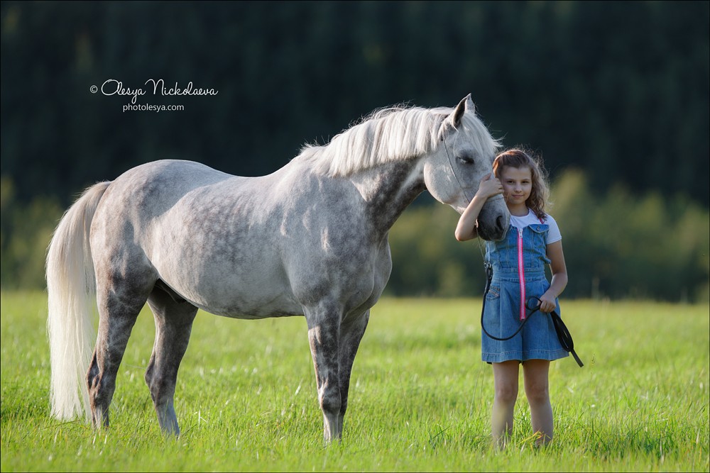  лошади и люди  ◆ horse and human