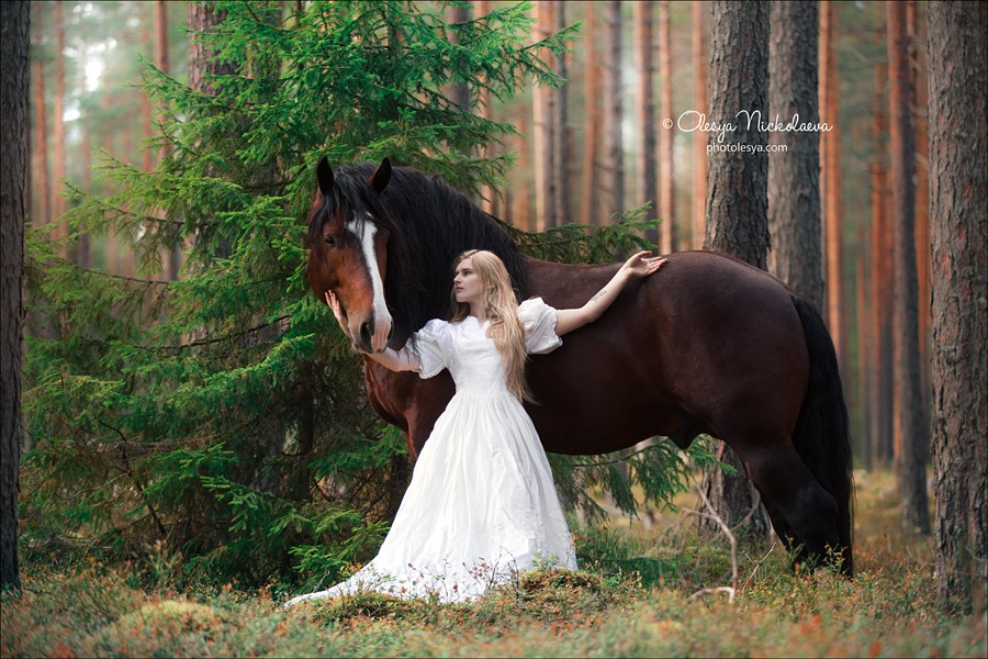  лошади и люди  ◆ horse and human