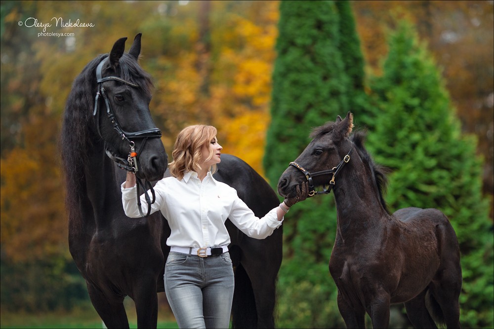  лошади и люди  ◆ horse and human