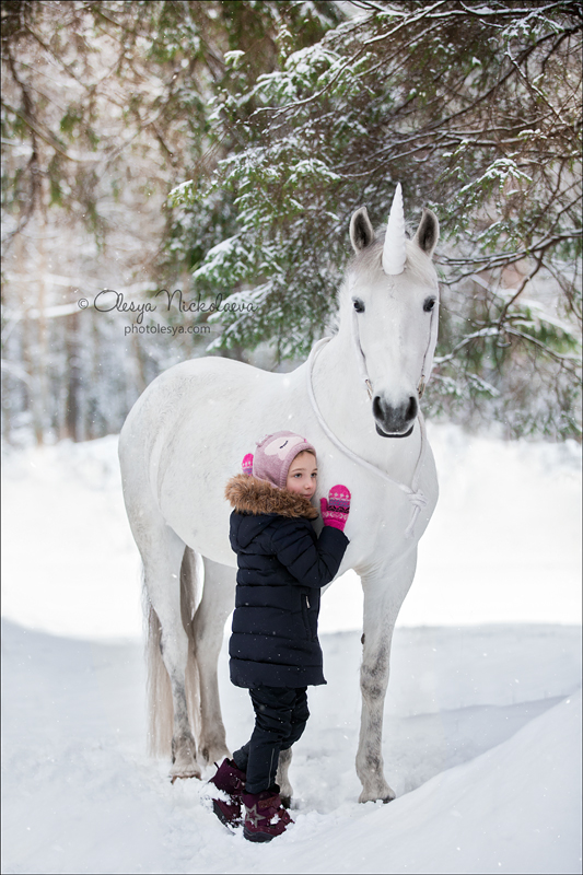  лошади и люди  ◆ horse and human