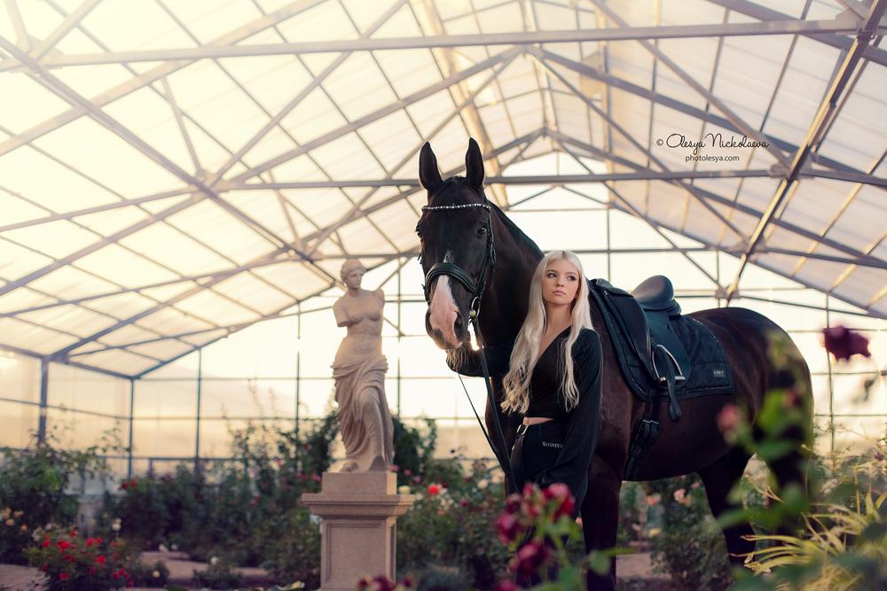  лошади и люди  ◆ horse and human