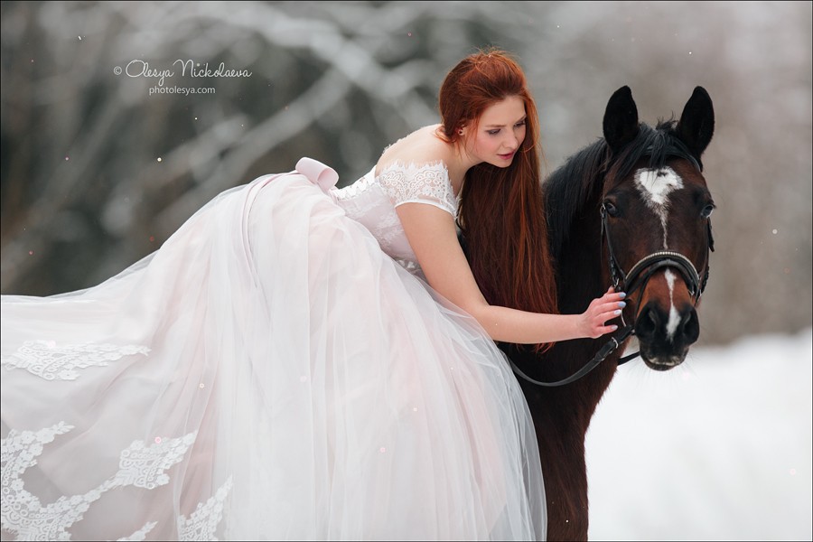  лошади и люди  ◆ horse and human