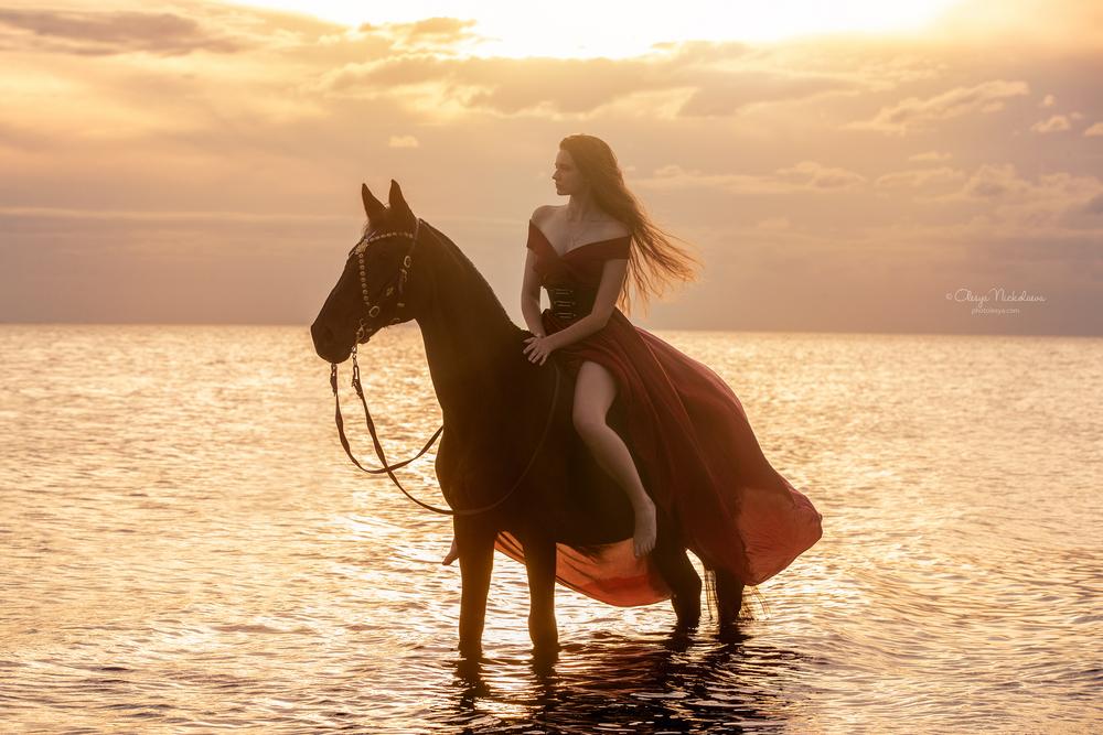  лошади и люди  ◆ horse and human