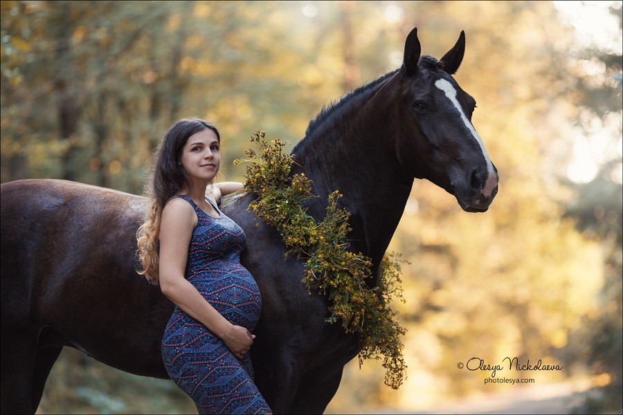  лошади и люди  ◆ horse and human