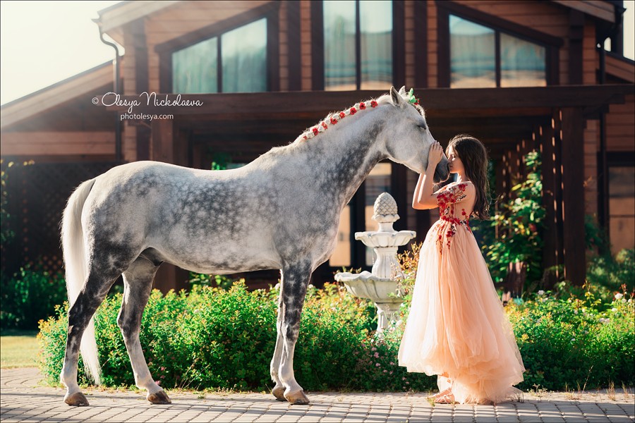  лошади и люди  ◆ horse and human
