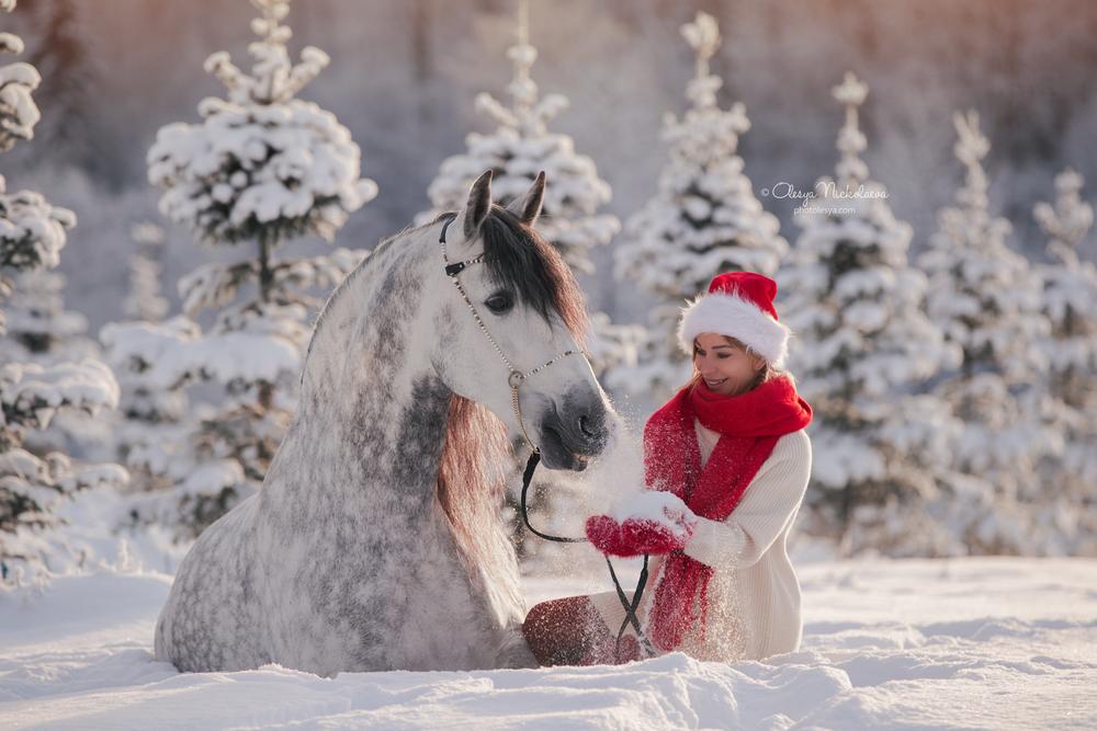 лошади и люди  ◆ horse and human