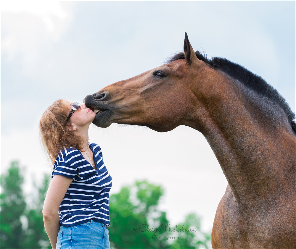  лошади и люди  ◆ horse and human