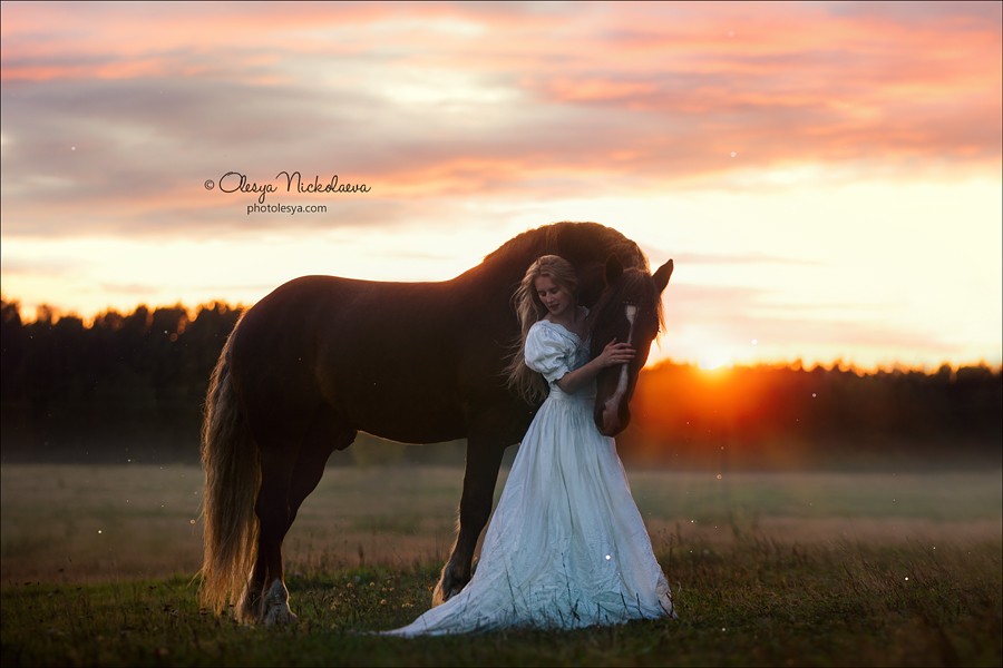  лошади и люди  ◆ horse and human