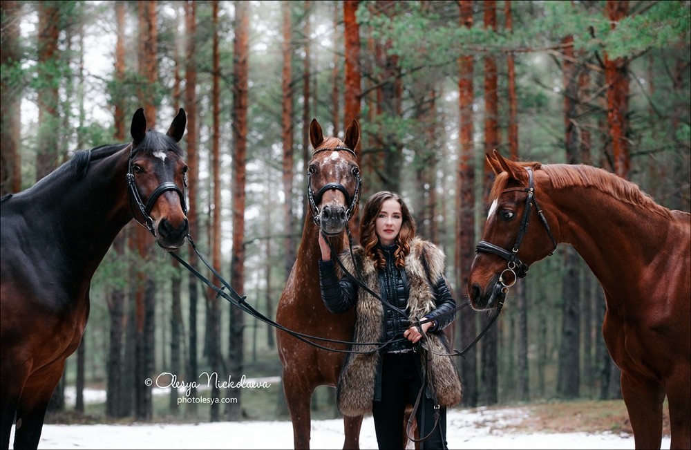  лошади и люди  ◆ horse and human