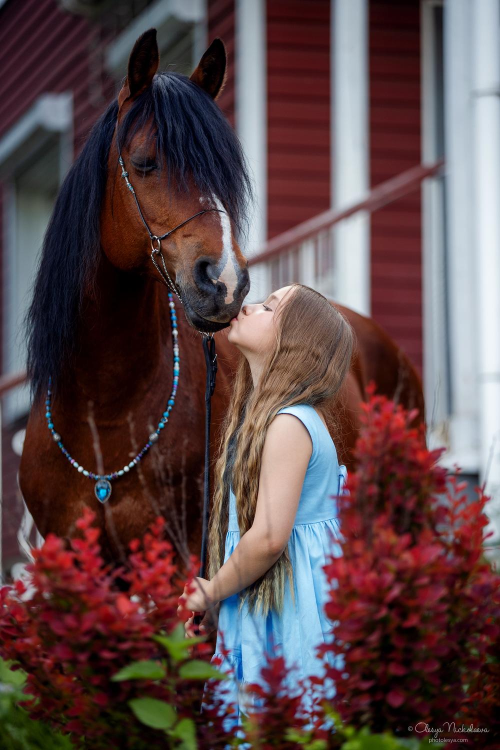  лошади и люди  ◆ horse and human