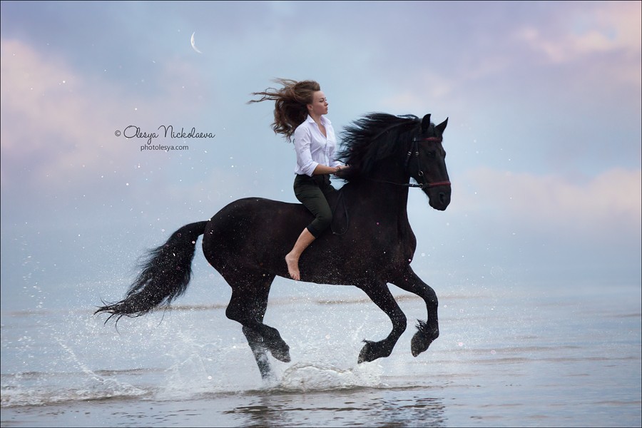  лошади и люди  ◆ horse and human