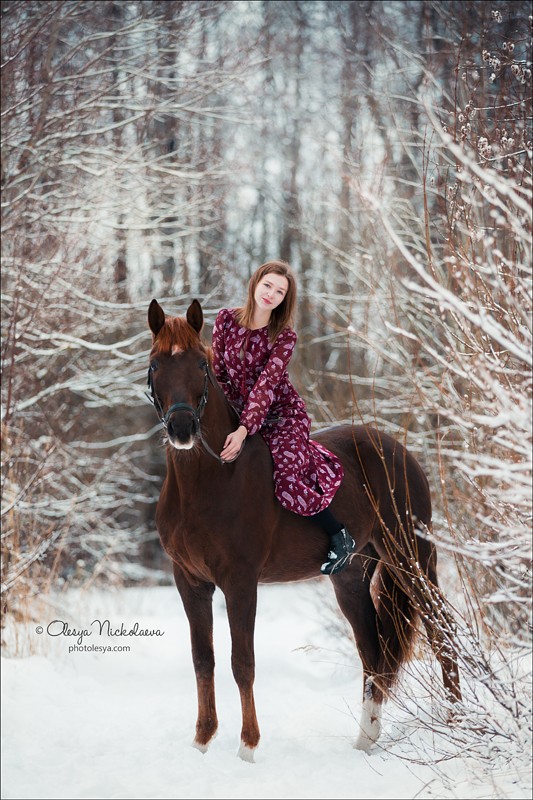  лошади и люди  ◆ horse and human