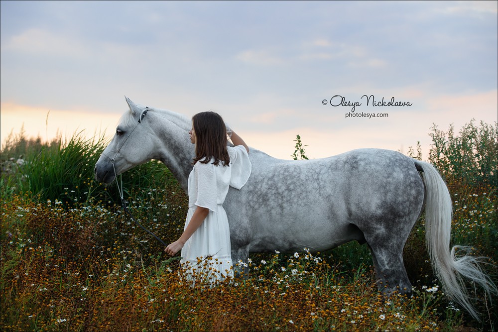  лошади и люди  ◆ horse and human