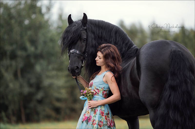 лошади и люди  ◆ horse and human