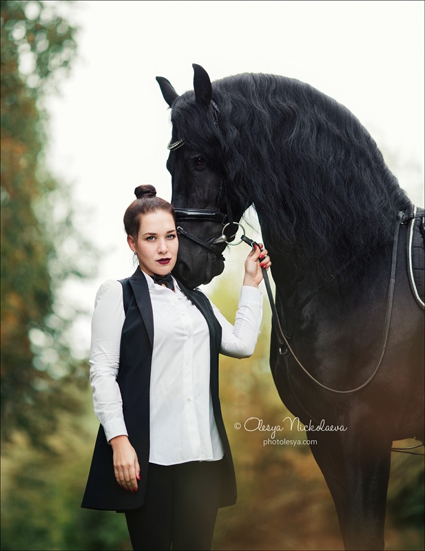  лошади и люди  ◆ horse and human
