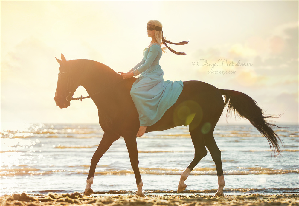  лошади и люди  ◆ horse and human