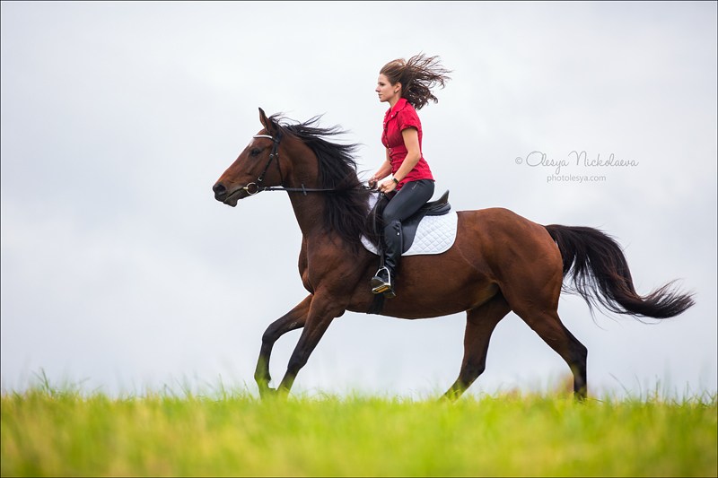  лошади и люди  ◆ horse and human