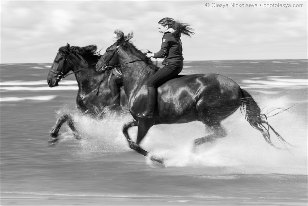  лошади и люди  ◆ horse and human