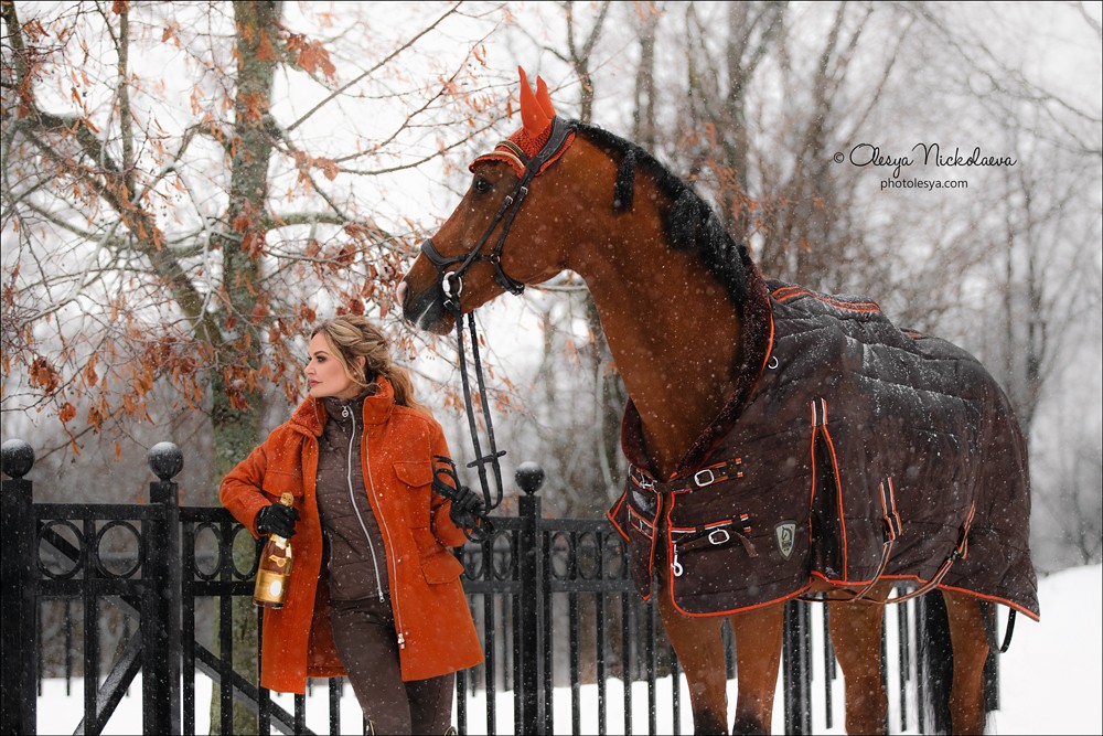  лошади и люди  ◆ horse and human