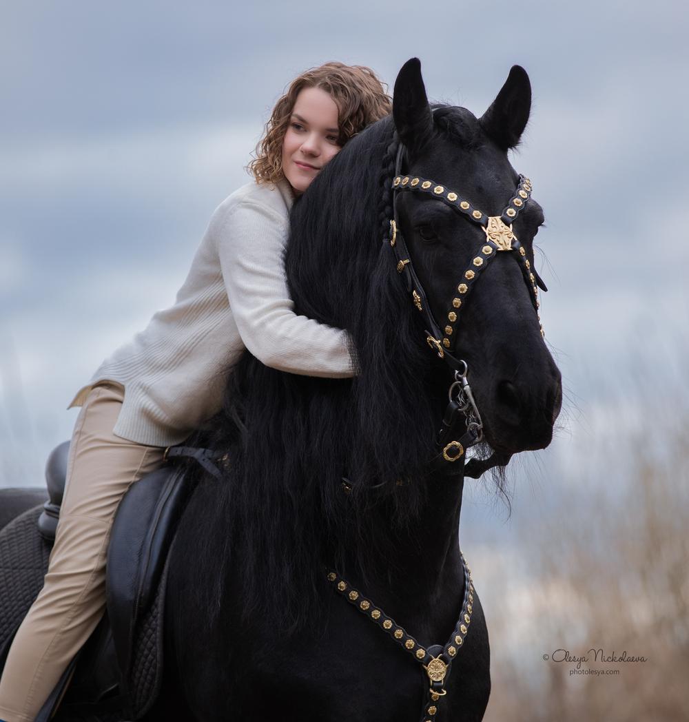  лошади и люди  ◆ horse and human