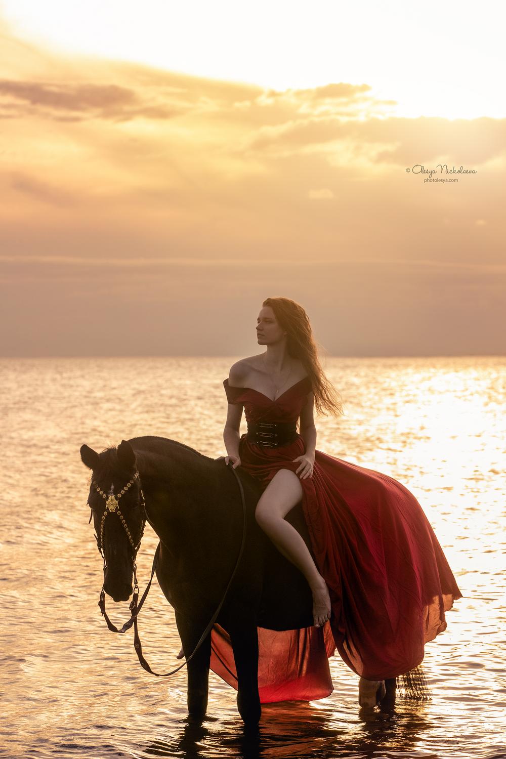  лошади и люди  ◆ horse and human