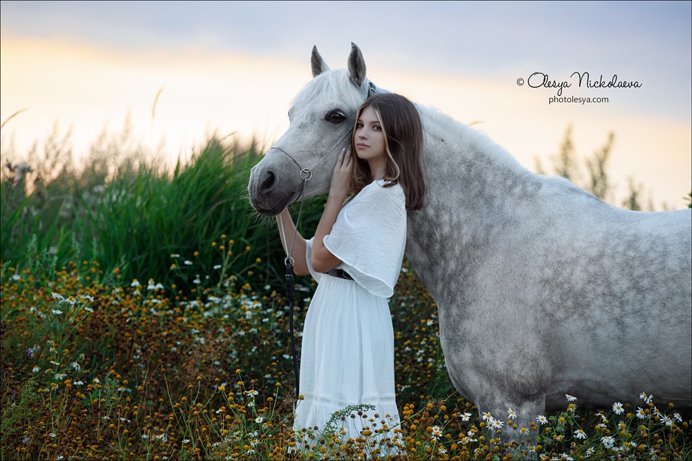  лошади и люди  ◆ horse and human