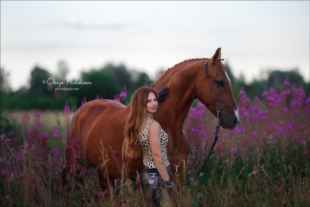  лошади и люди  ◆ horse and human