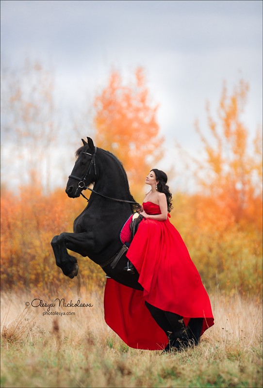  лошади и люди  ◆ horse and human
