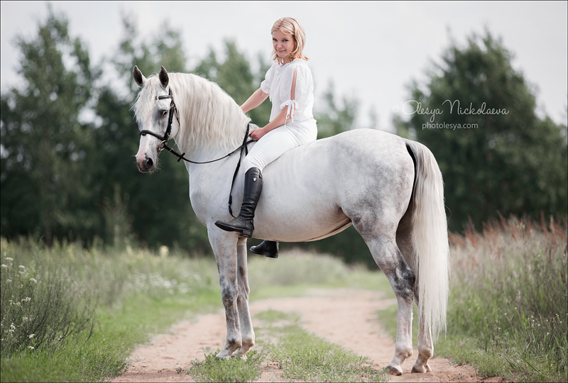  лошади и люди  ◆ horse and human