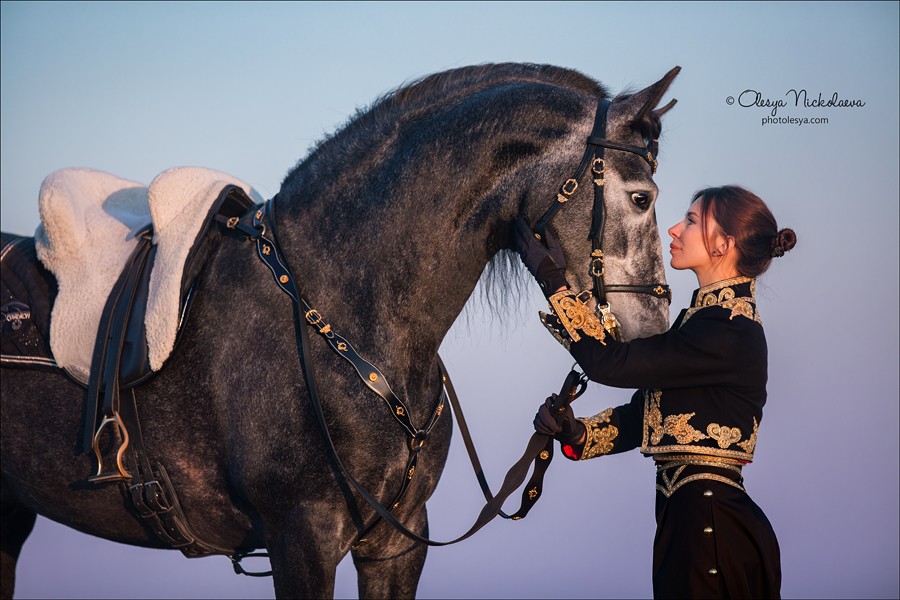 лошади и люди  ◆ horse and human