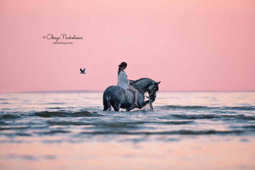  лошади и люди  ◆ horse and human