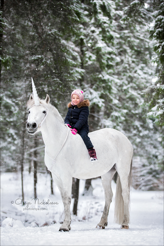  лошади и люди  ◆ horse and human