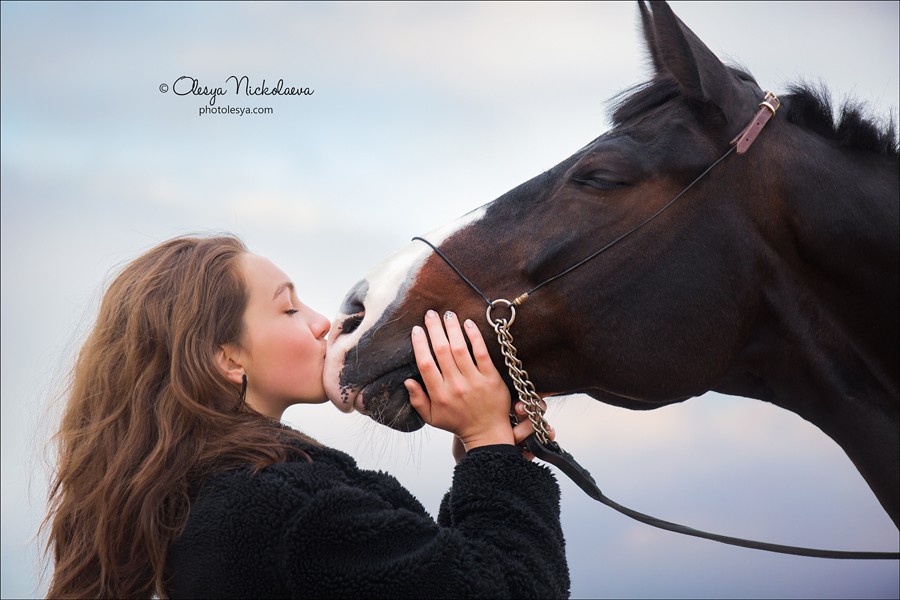  лошади и люди  ◆ horse and human