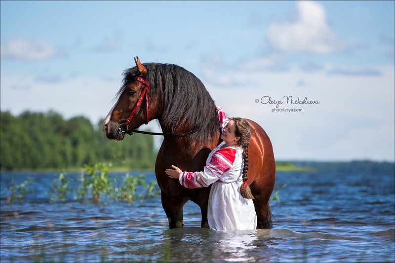  лошади и люди  ◆ horse and human