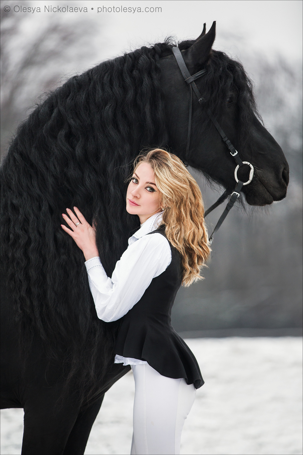  лошади и люди  ◆ horse and human