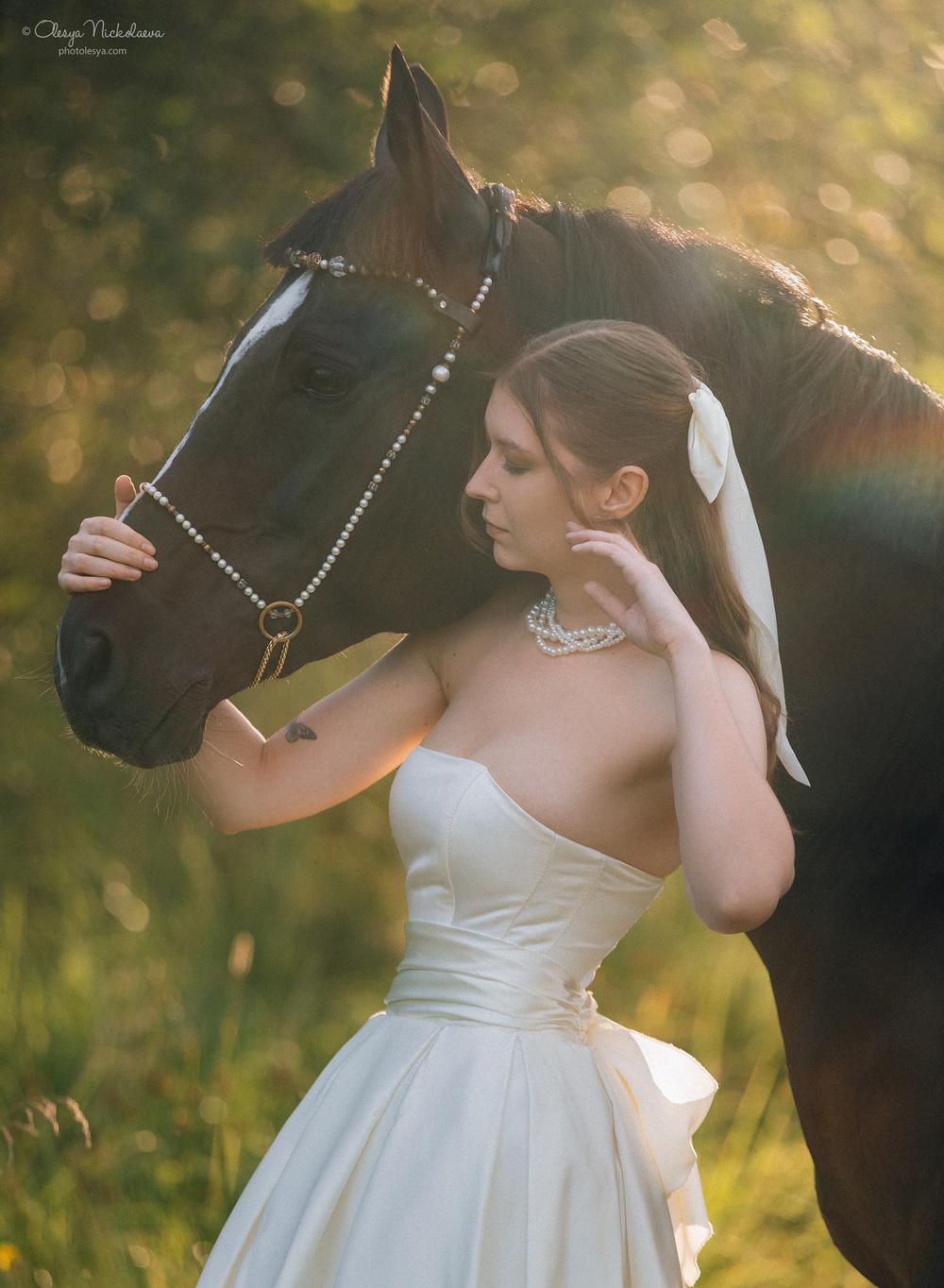  лошади и люди  ◆ horse and human