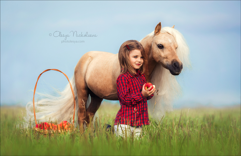  лошади и люди  ◆ horse and human