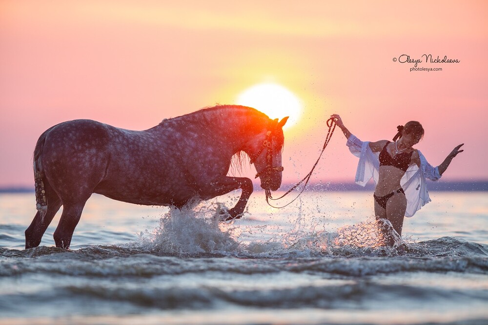 лошади и люди  ◆ horse and human