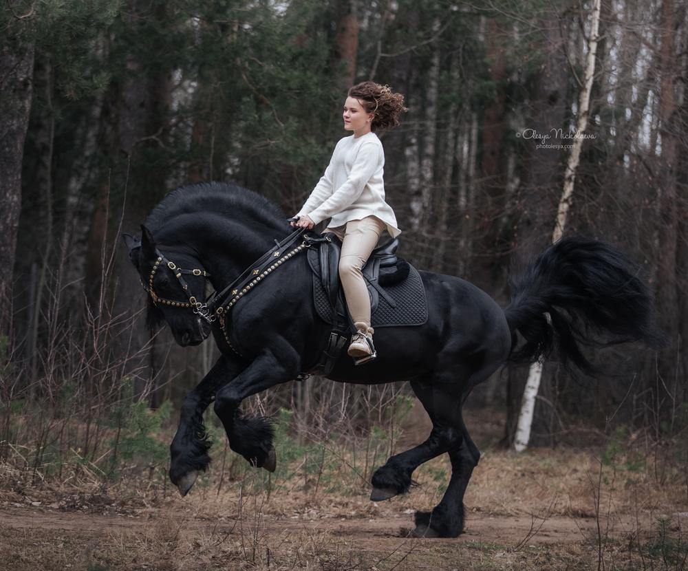  лошади и люди  ◆ horse and human