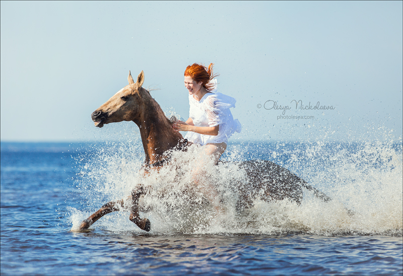  лошади и люди  ◆ horse and human